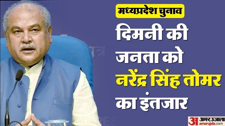 madhya-pradesh:-टिकट-मिलने-के-12-दिन-बार-भी-दिमनी-क्यों-नहीं-आ-रहे-केंद्रीय-मंत्री-तोमर,-कहीं-ये-वजह-तो-नहीं