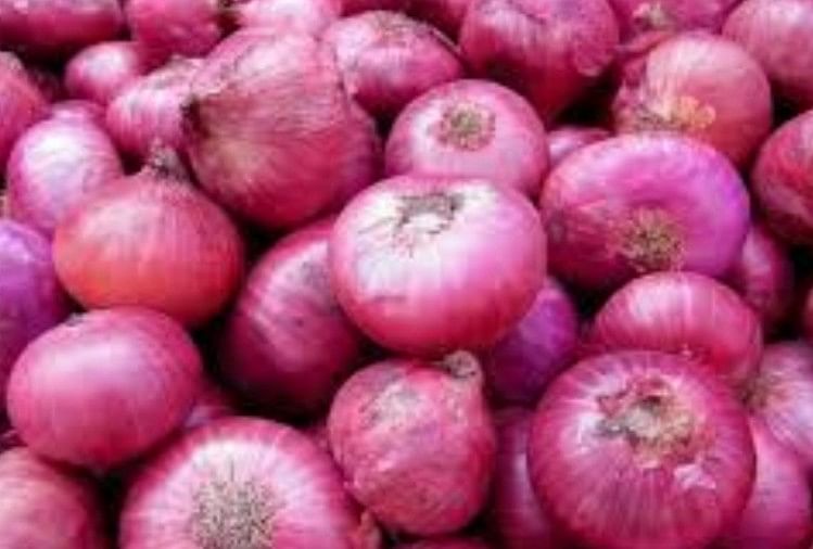 onion-price:-त्योहारों-पर-कीमतों-को-नियंत्रित-करने-की-कवायद,-बफर-स्टॉक-से-एक-लाख-टन-प्याज-बेचेगी-केंद्र-सरकार