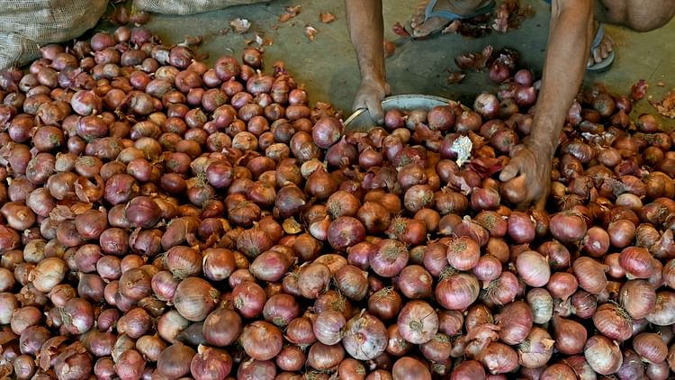 onion-export:-प्याज-निर्यात-से-प्रतिबंध-हटाने-से-पहले-ec-से-ली-गई-अनुमति,-केंद्र-ने-कहा-कीमतें-स्थिर-रहेंगी