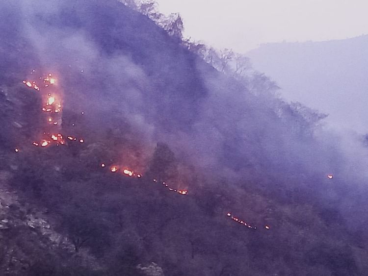 uttarakhand-forest-fire:-वनाग्नि-की-चपेट-में-आने-से-बुरी-तरह-झुलसी-बुजुर्ग-महिला,-एम्स-में-इलाज-के-दाैरान-मौत