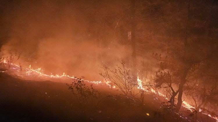 uttarakhand-:-अल्मोड़ा-में-जंगल-की-आग-से-30-गांवों-की-नींद-उड़ी,-सब-बारी-बारी-से-कर-रहे-हैं-पहरेदारी